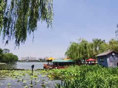 -济南大明湖景区