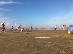 -日照海滨国家森林公园
