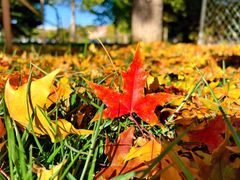 -北京金海湖景区