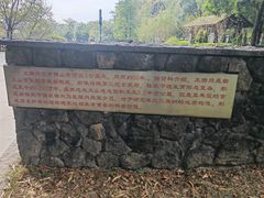 -王借岗森林公园