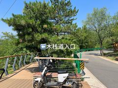 -白水寺森林公园