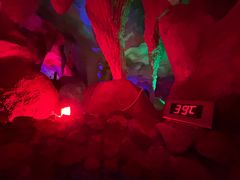 -惠州金海湾嘉华度假酒店