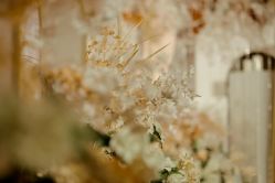 -忆江南婚礼策划(姑苏店)