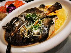 -国惠大酒楼(宝龙店)