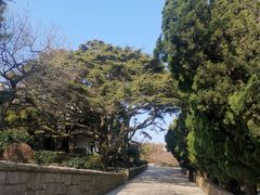 -八大关景区