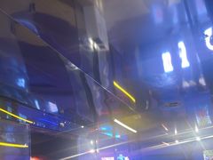 -移动谜城·大笨象密室逃脱(五棵松店)