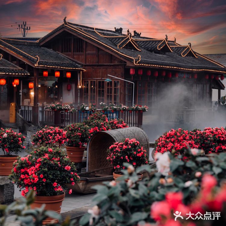 重庆小众拍照地｜隐藏在南山上的花海火锅公园