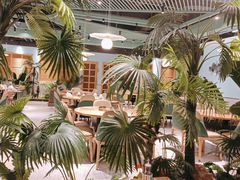 -春润大地海南椰子鸡(沙井京基百纳广场店)