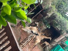 -长鹿旅游休博园
