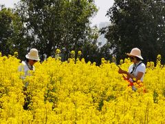-西安汉城湖景区