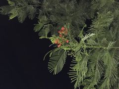 -红旗山庄(圭峰山店)