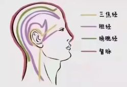 -香薇妮丝女子减肥院