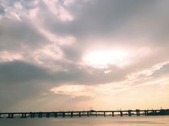 -宝安西湾红树林湿地公园