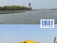 -溱湖国家湿地公园