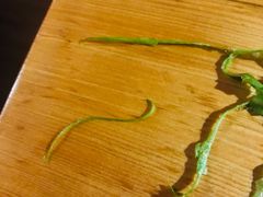 鲜菌焗豆角-城池·洛阳菜