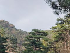 -天柱山风景区