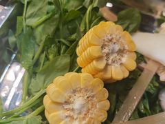 -金鼎雪山牦牛杂火锅(理县总店)