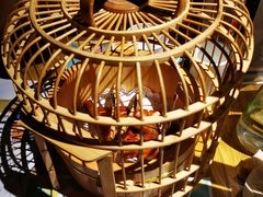 -胡桃里音乐酒馆(罗湖HALO广场店)