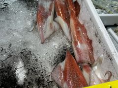 -南纪白浜Toretore市场