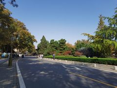-八大关景区