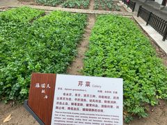 -张闻天故居