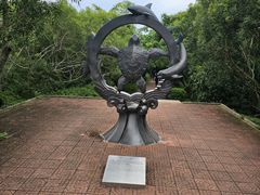 -广东惠东海龟国家级自然保护区