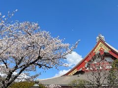 -浅草寺