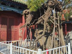 -宋太祖黄袍加身处文管所