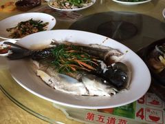 -鲤鱼塘农家山庄