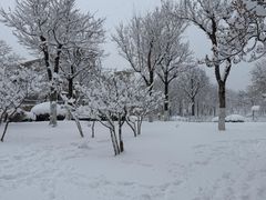 -丁香湖公园