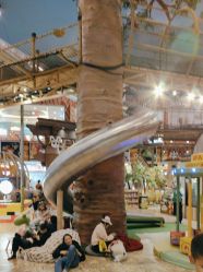 -卡通尼·Safari非洲探索乐园·生日会(金桥国际商业广场店)