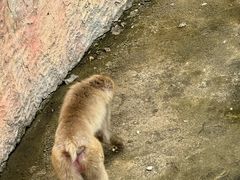 -南昌动物园