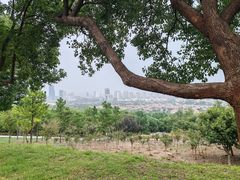 -南京市江宁方山