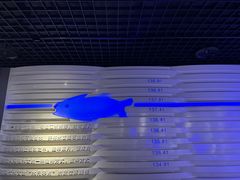 -白鹤梁水下博物馆