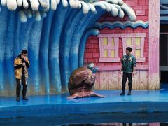 -华夏文旅海洋公园