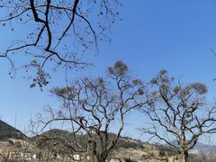 -福建天门山