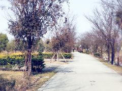 -鹅湖玫瑰文化园