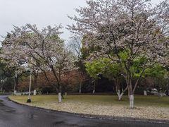 -浙江西子宾馆·瑶园咖啡厅