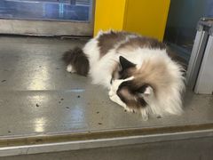 -白兔子密室(长寿路店)
