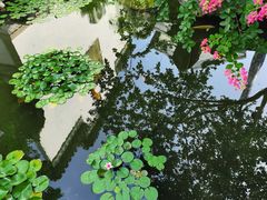 -苏州冶园园林民宿(太湖西山风景区店)