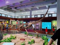 -自贡恐龙博物馆