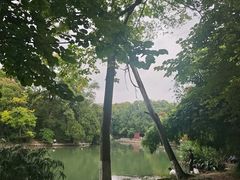 -花溪公园