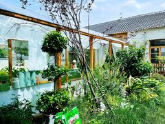 -Jo's Garden