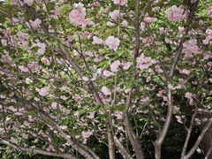 -杨高南路(地铁站)