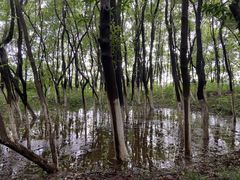 -艾溪湖湿地公园