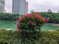 -江头公园