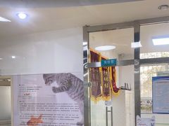 -瑞派宠物医院·内科·软组织·绝育中心(沈阳八纬路分院)