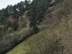 -敬亭山风景名胜区