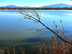 -野鸭湖国家湿地公园