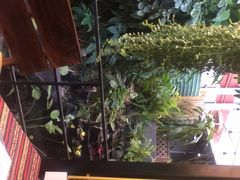 -Tikky Cafe
